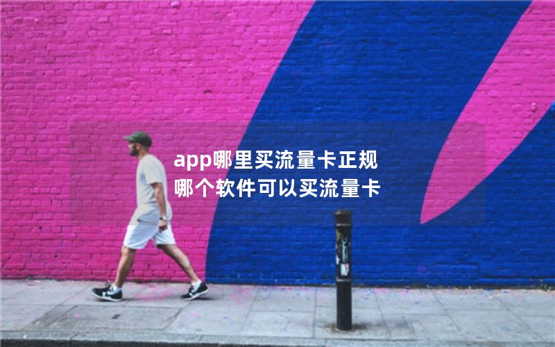 app哪里买流量卡正规 哪个软件可以买流量卡