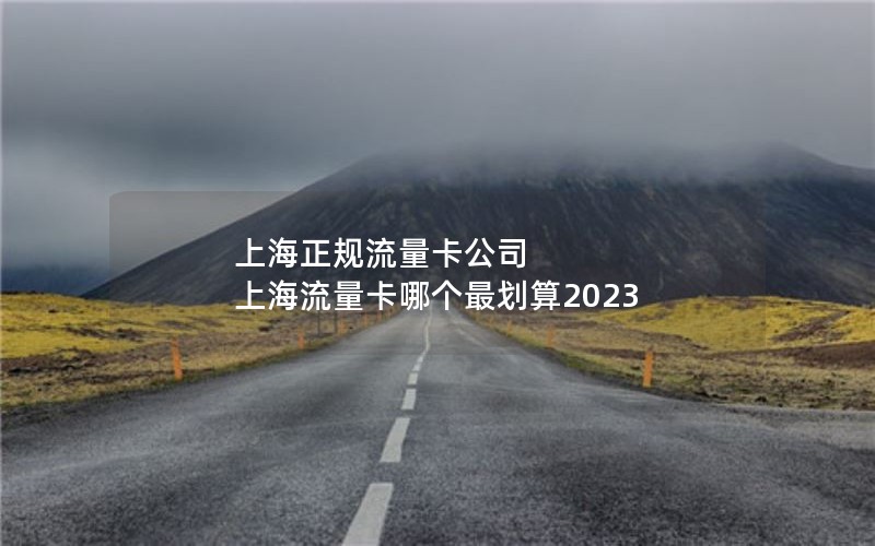 上海正规流量卡公司 上海流量卡哪个最划算2023