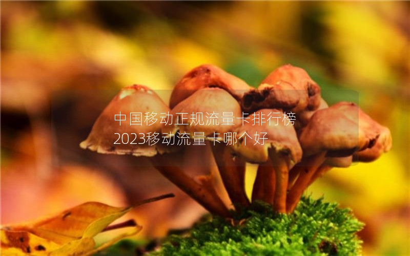 中国移动正规流量卡排行榜 2023移动流量卡哪个好