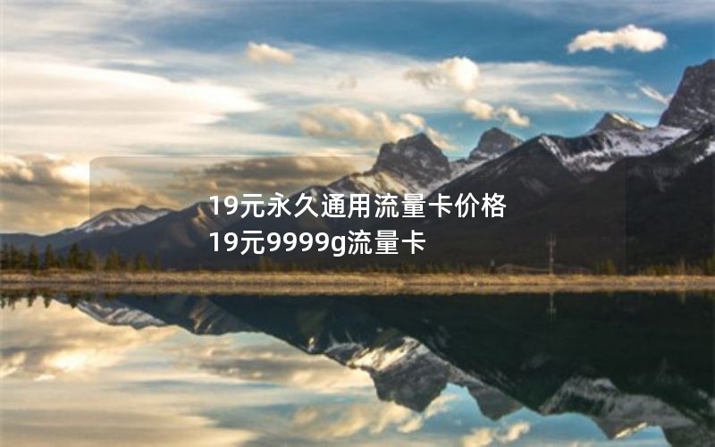 19元永久通用流量卡价格 19元9999g流量卡