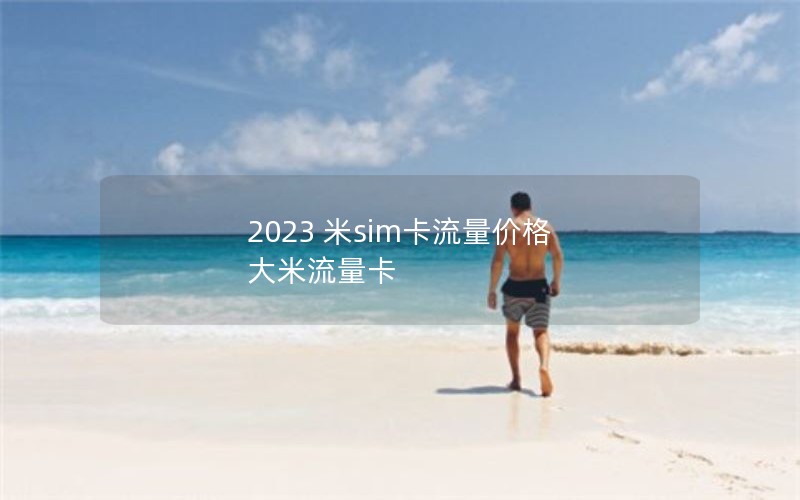 2023 米sim卡流量价格 大米流量卡