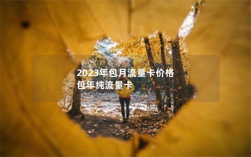 2023年包月流量卡价格 包年纯流量卡