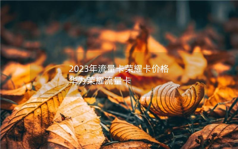 2023年流量卡荣耀卡价格 华为荣耀流量卡