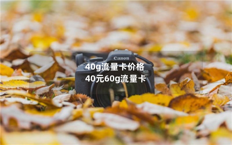 40g流量卡价格 40元60g流量卡