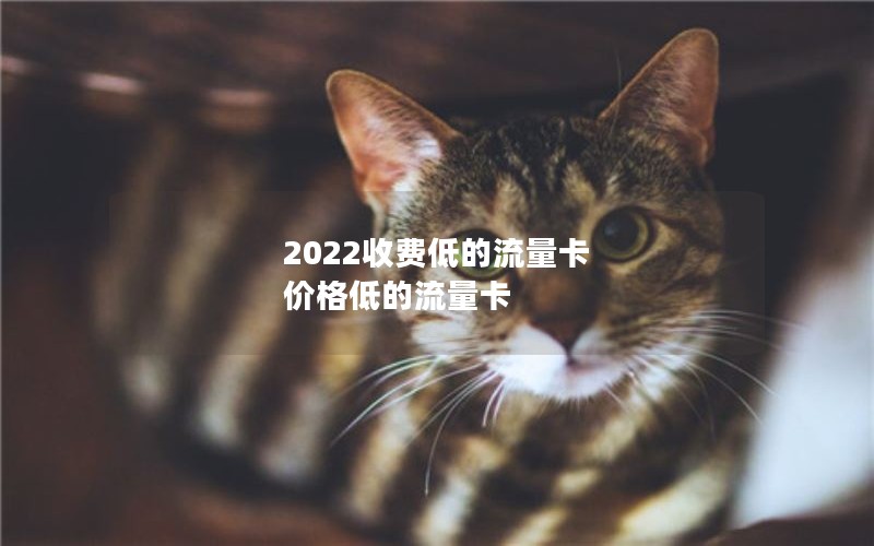 2022收费低的流量卡 价格低的流量卡