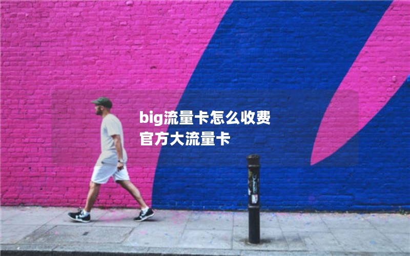 big流量卡怎么收费 官方大流量卡