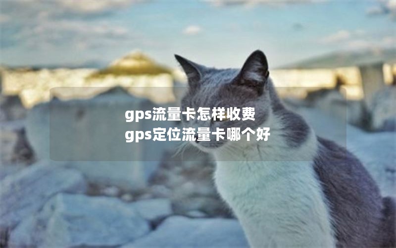 gps流量卡怎样收费 gps定位流量卡哪个好