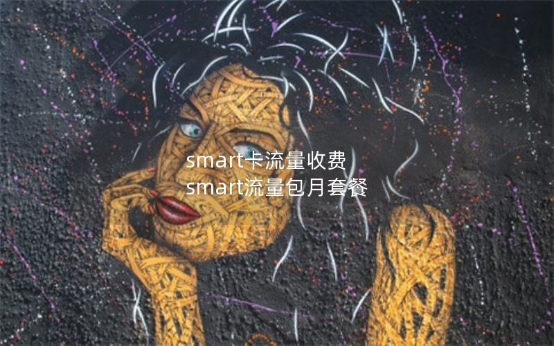 smart卡流量收费 smart流量包月套餐