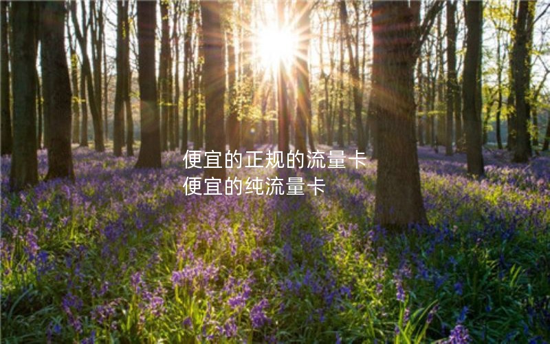 便宜的正规的流量卡 便宜的纯流量卡