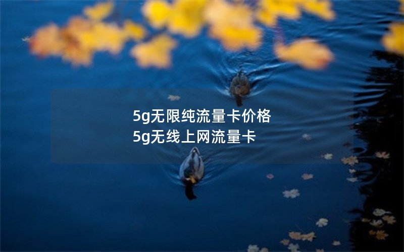 5g无限纯流量卡价格 5g无线上网流量卡