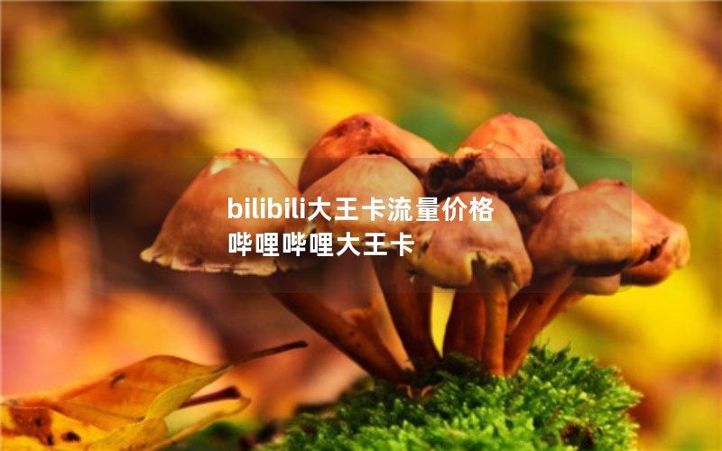 bilibili大王卡流量价格 哔哩哔哩大王卡