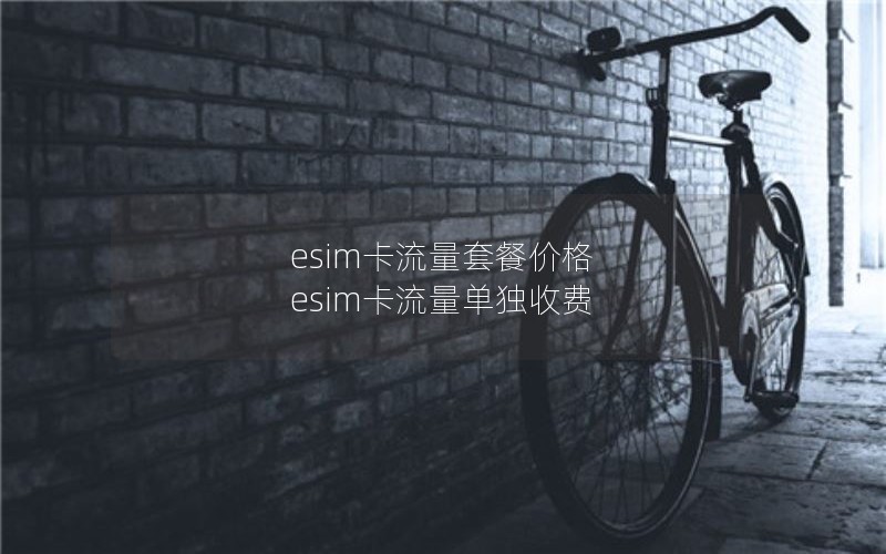 esim卡流量套餐价格 esim卡流量单独收费