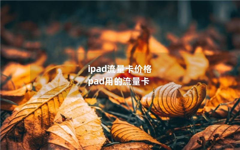 ipad流量卡价格 pad用的流量卡