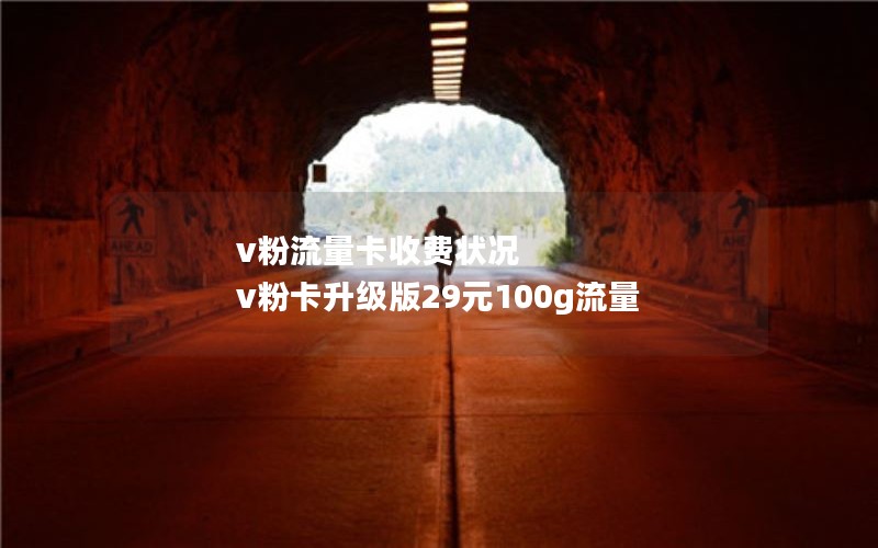 v粉流量卡收费状况 v粉卡升级版29元100g流量