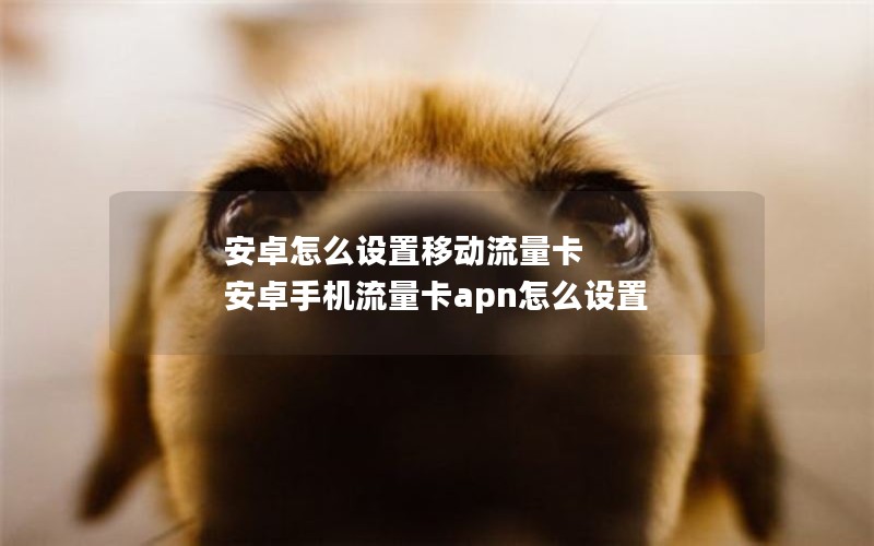 安卓怎么设置移动流量卡 安卓手机流量卡apn怎么设置