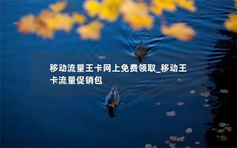 移动流量王卡网上免费领取_移动王卡流量促销包