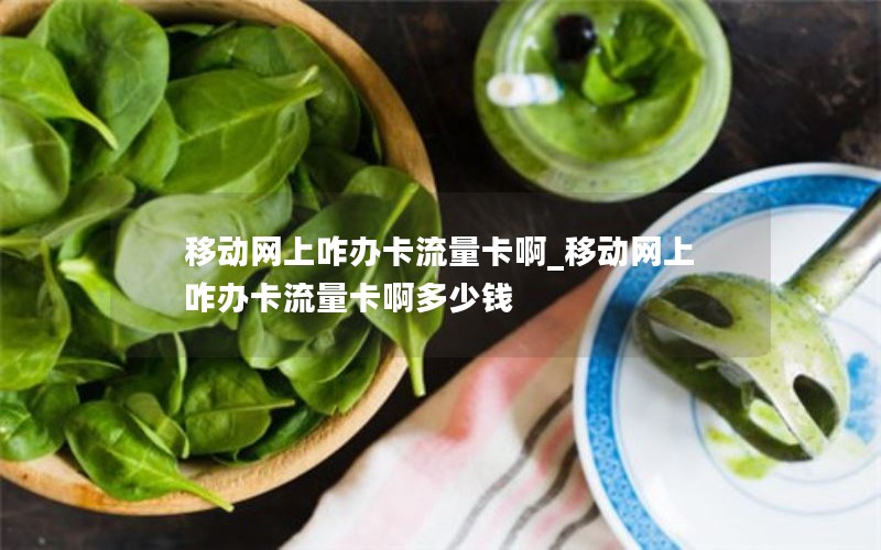 移动网上咋办卡流量卡啊_移动网上咋办卡流量卡啊多少钱