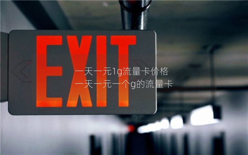 一天一元1g流量卡价格 一天一元一个g的流量卡