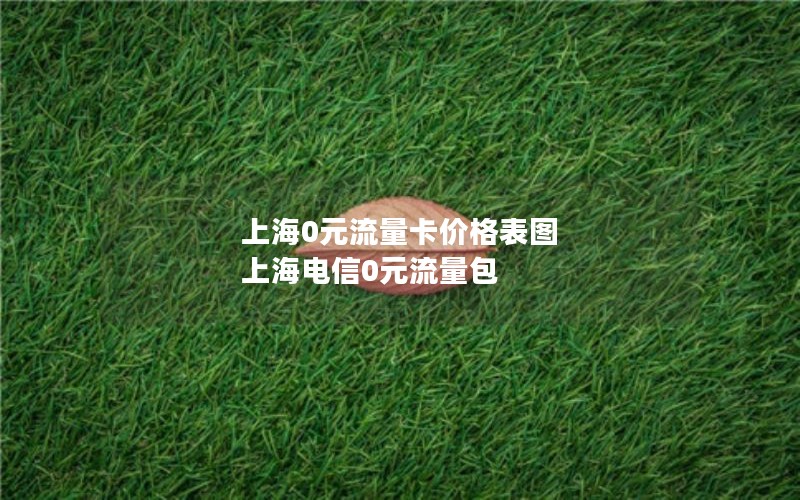 上海0元流量卡价格表图 上海电信0元流量包