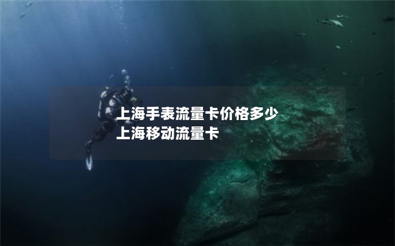 上海手表流量卡价格多少 上海移动流量卡