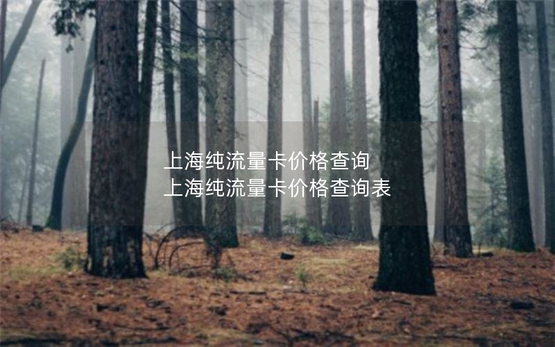 上海纯流量卡价格查询 上海纯流量卡价格查询表