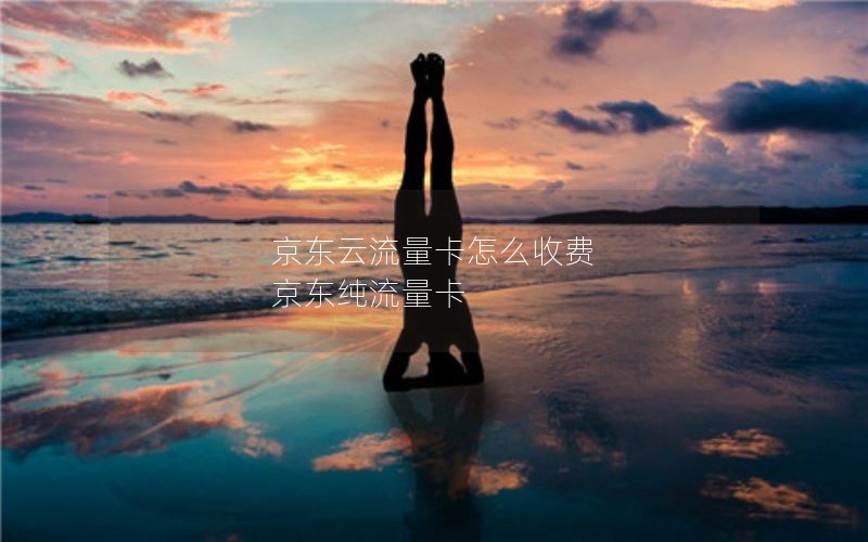 京东云流量卡怎么收费 京东纯流量卡