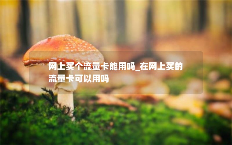 网上买个流量卡能用吗_在网上买的流量卡可以用吗