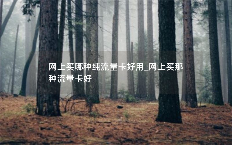 网上买哪种纯流量卡好用_网上买那种流量卡好