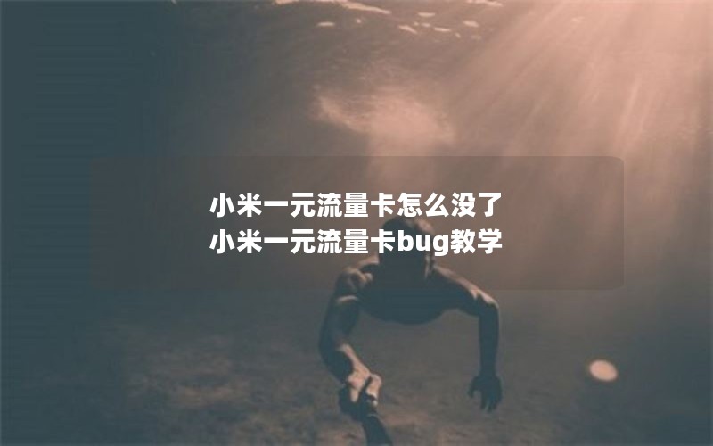 小米一元流量卡怎么没了 小米一元流量卡bug教学