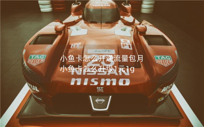 小鱼卡怎么开通流量包月 小鱼卡怎么升级1元1g
