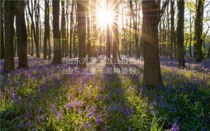 山东流量卡怎么扣费用 山东流量卡哪种最好