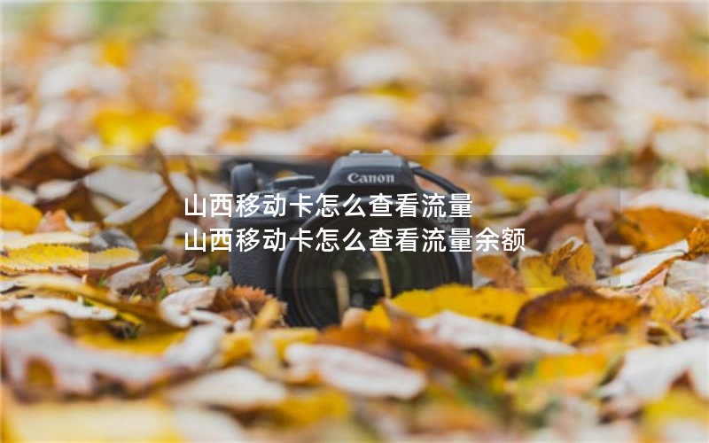山西移动卡怎么查看流量 山西移动卡怎么查看流量余额