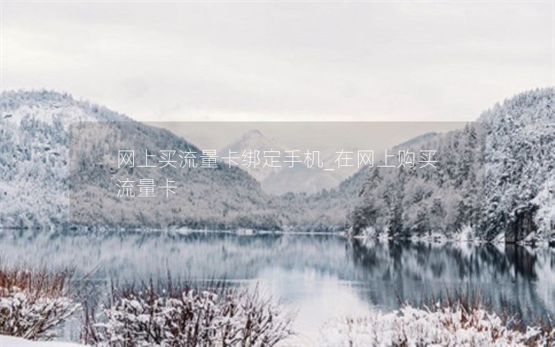 网上买流量卡绑定手机_在网上购买流量卡