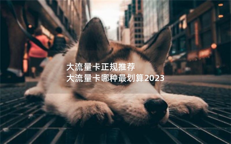 大流量卡正规推荐 大流量卡哪种最划算2023