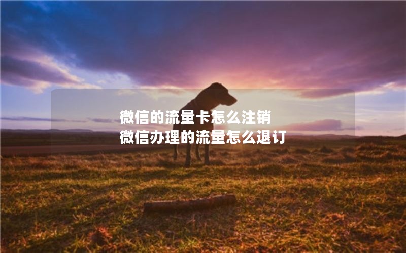 爱奇艺无限流量卡套餐介绍_爱奇艺无限流量包