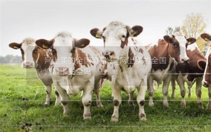 网上买的全国流量卡_网上买的全国流量卡安全吗