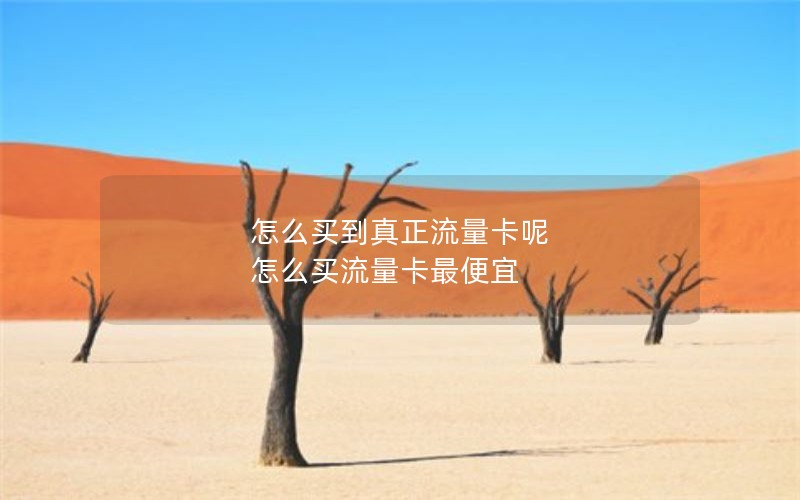 怎么买到真正流量卡呢 怎么买流量卡最便宜