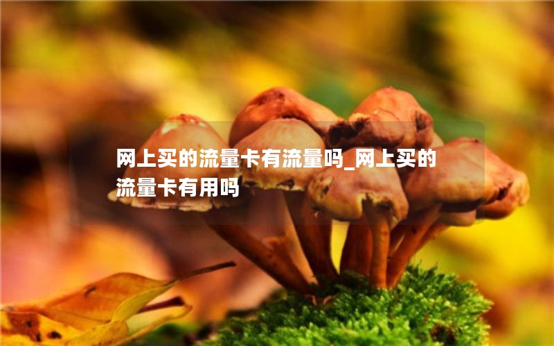 网上买的流量卡有流量吗_网上买的流量卡有用吗