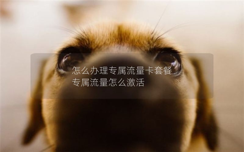 怎么办理专属流量卡套餐 专属流量怎么激活