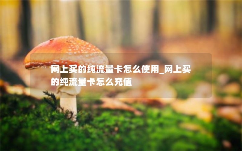 网上买的纯流量卡怎么使用_网上买的纯流量卡怎么充值