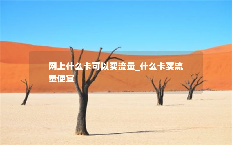 网上什么卡可以买流量_什么卡买流量便宜