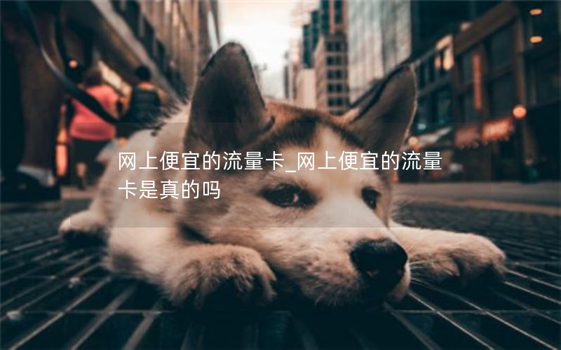 网上便宜的流量卡_网上便宜的流量卡是真的吗