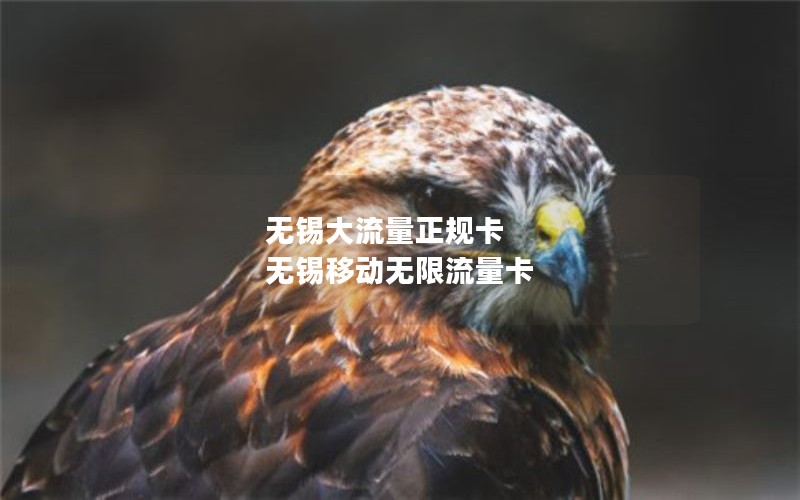 无锡大流量正规卡 无锡移动无限流量卡