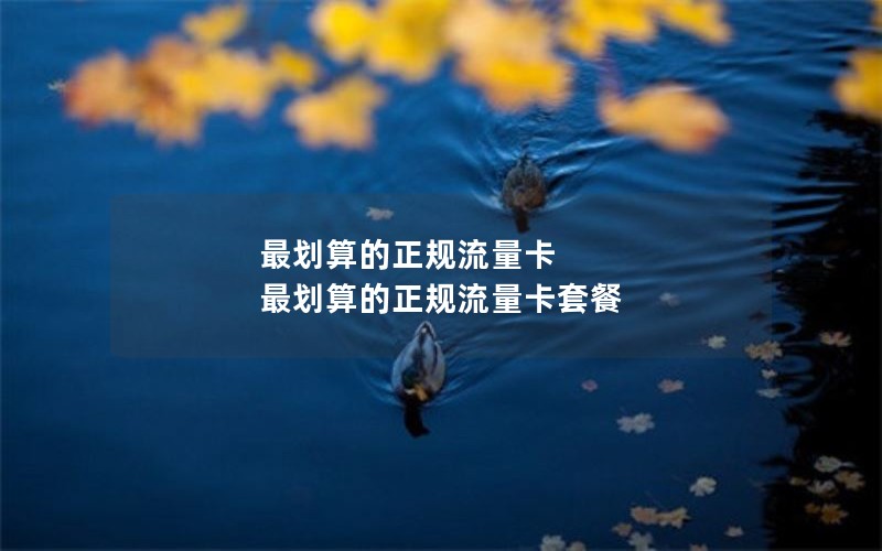 最划算的正规流量卡 最划算的正规流量卡套餐