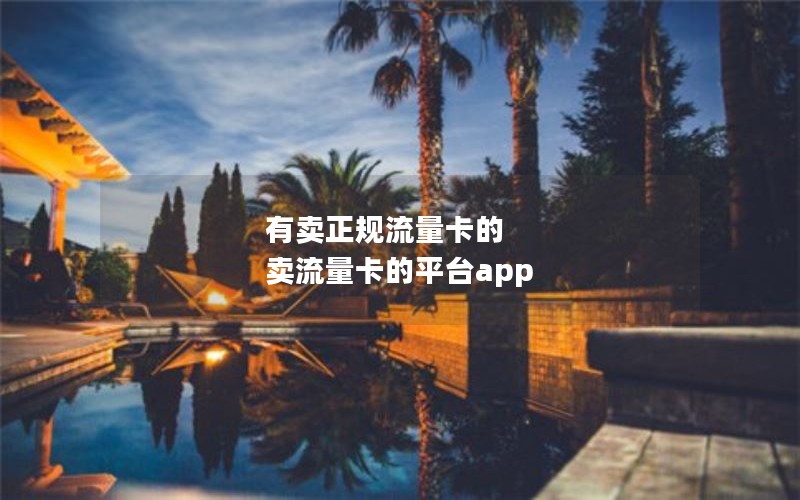 有卖正规流量卡的 卖流量卡的平台app