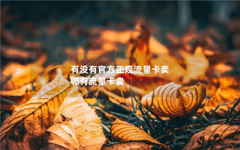有没有官方正规流量卡卖 哪有流量卡卖