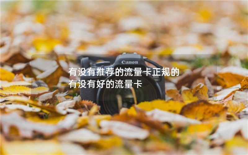 有没有推荐的流量卡正规的 有没有好的流量卡