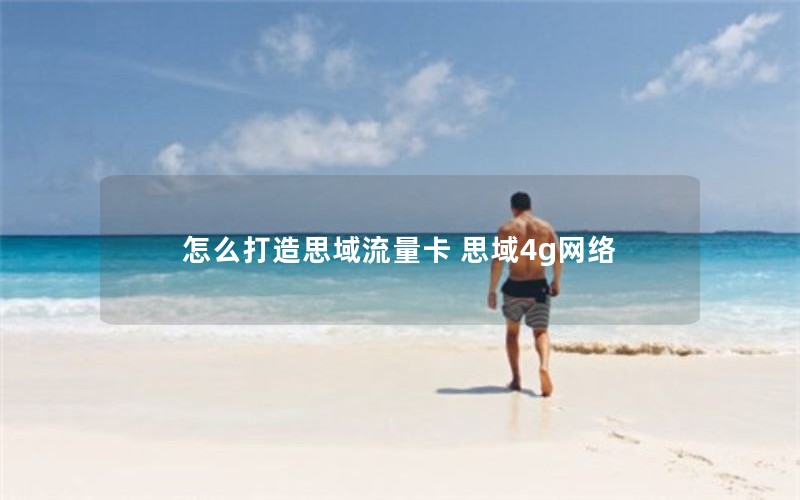 怎么打造思域流量卡 思域4g网络