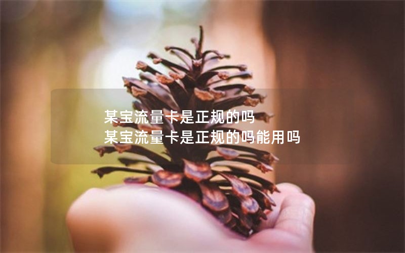 某宝流量卡是正规的吗 某宝流量卡是正规的吗能用吗