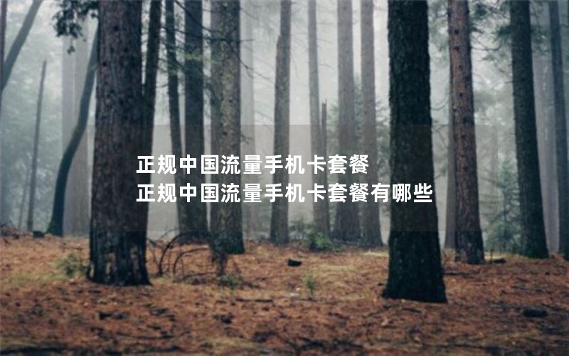 正规中国流量手机卡套餐 正规中国流量手机卡套餐有哪些